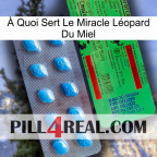 À Quoi Sert Le Miracle Léopard Du Miel new03